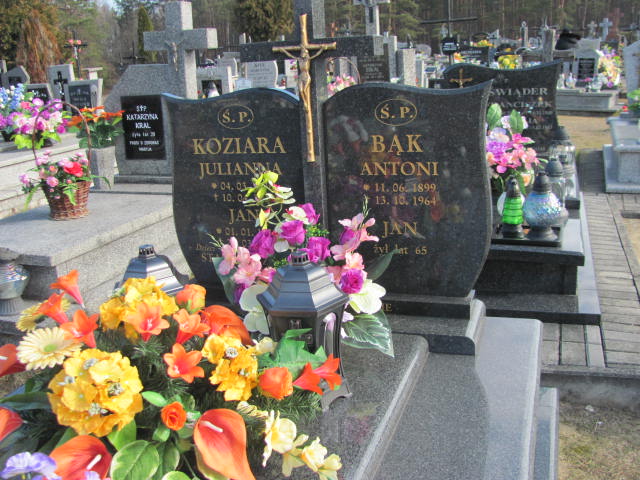 Grób Julianna Koziara